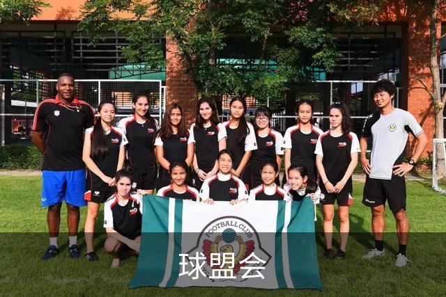 关于球盟会